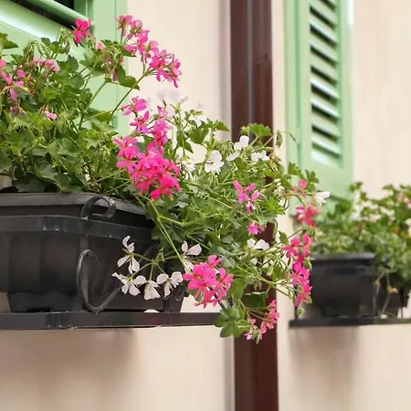 Ferienhaus Donna Carmela